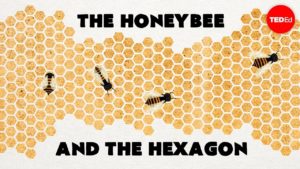 0 03 3 58 Why do honeybees love hexagons