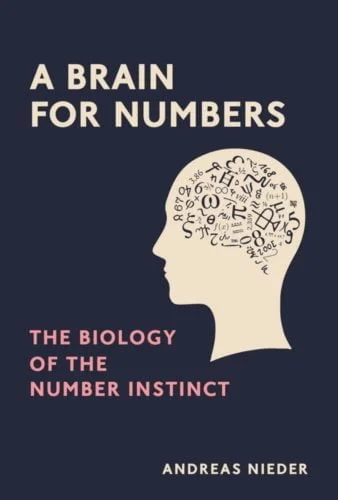 A Brain for Numbers
