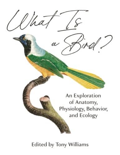 What Is a Bird?: An Exploration of Anatomy