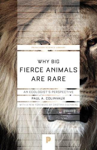 Why Big Fierce Animals Are Rare: An Ecologist's Perspective
