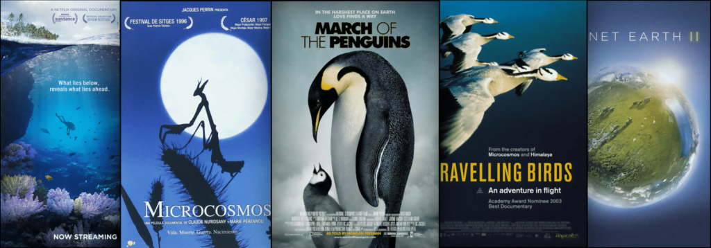 25 Beautiful Nature Documentaries to Watch on Earth Day