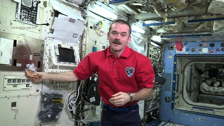 How Astronaut’s Sense of Taste is Altered in Space? | Video | Abakcus