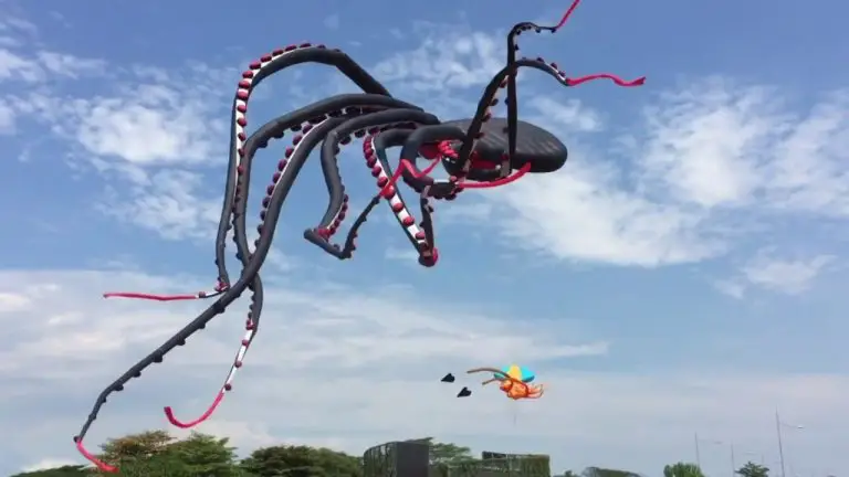 Giant Octopus Kite | Fascinating Video by Erich Chew | Abakcus
