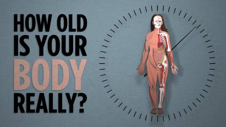 How Old is Your Body Really | Science Video | Abakcus