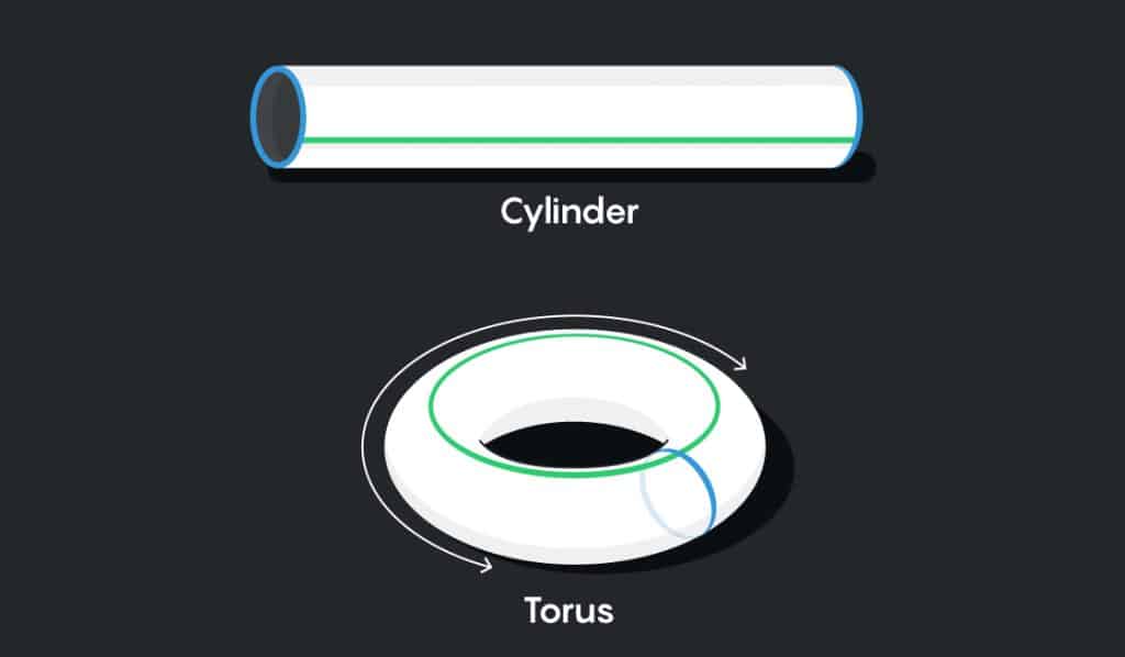 Cylinder and Torus