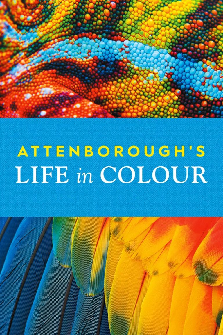 Life in Color with David Attenborough | Documentary | Abakcus