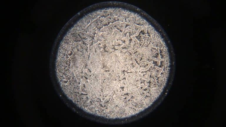 Tear Evaporation and Crystallisation Under a Microscope | Video | Abakcus