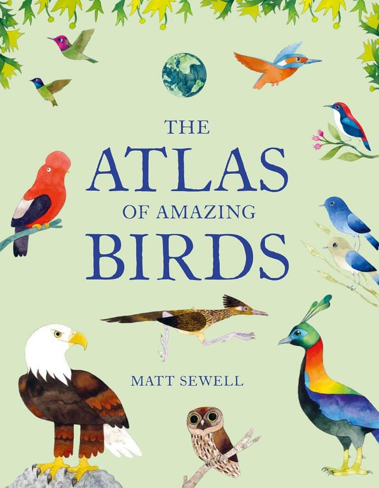 The Atlas of Amazing Birds | Abakcus