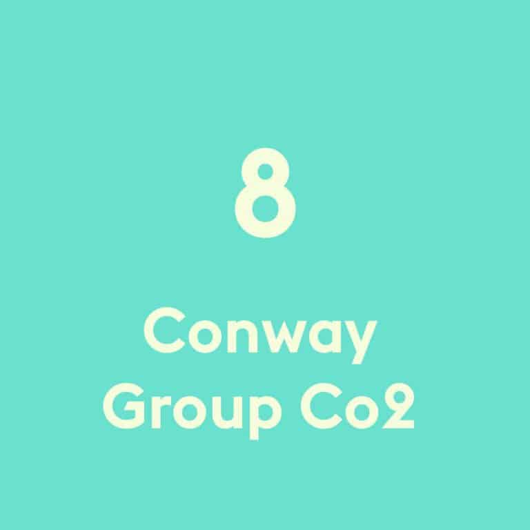 Conway group Co2