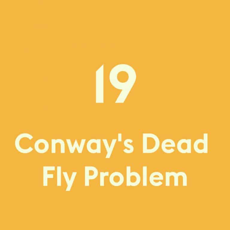 Conways dead fly problem