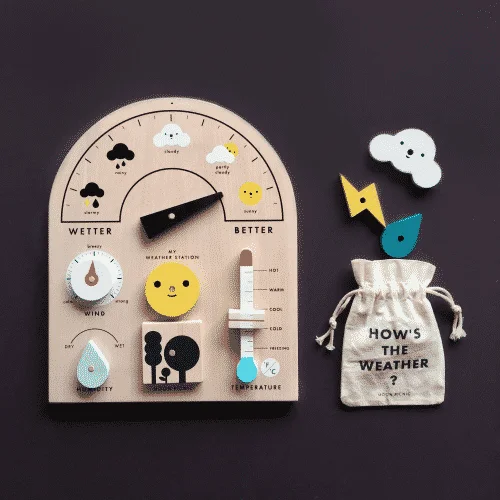 My Weather Station | Educational Toys for Children | Abakcus