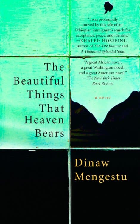 The Beautiful Things That Heaven Bears | Book | Abakcus