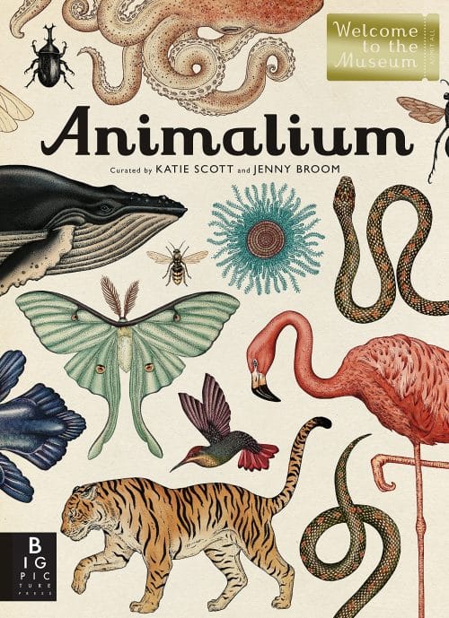 Animalium | Books | Abakcus