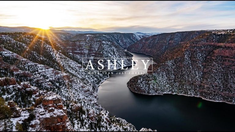 Ashley National Forest | Video | Abakcus