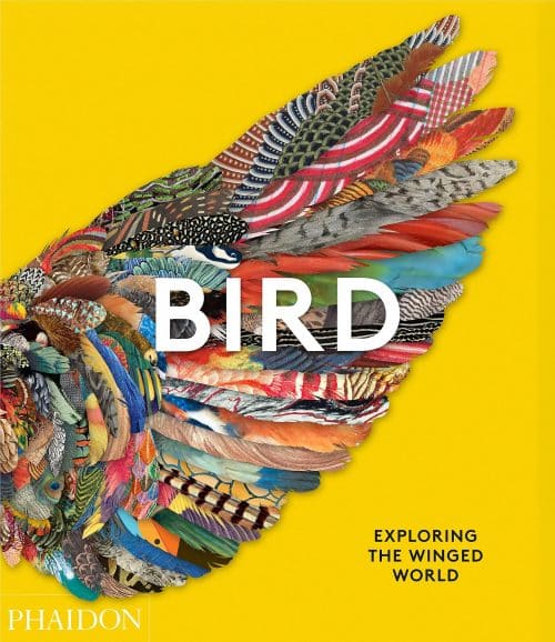 Bird: Exploring the Winged World | Books | Abakcus