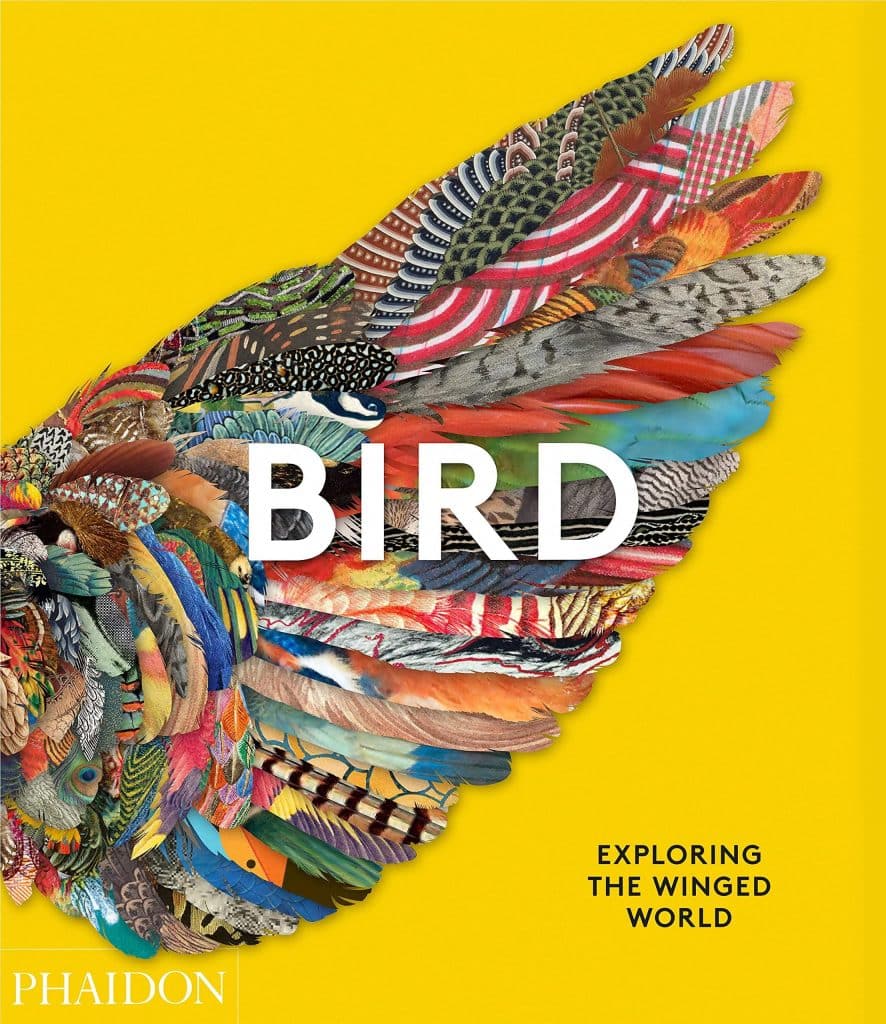 Bird: Exploring the Winged World | Books | Abakcus