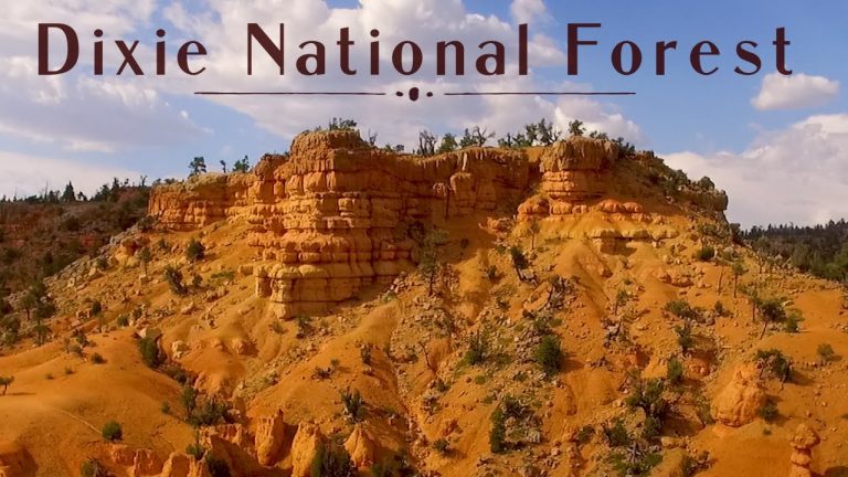 Dixie National Forest | Video | Abakcus