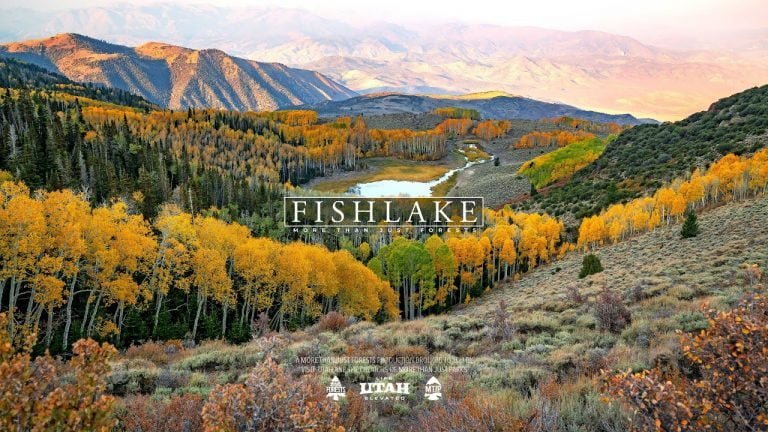 Fishlake National Forest | Video | Abakcus