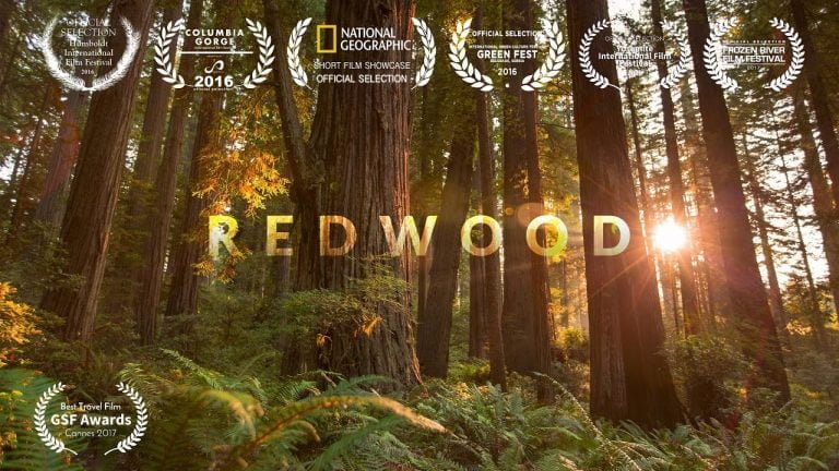 Redwood National Park | Video | Abakcus