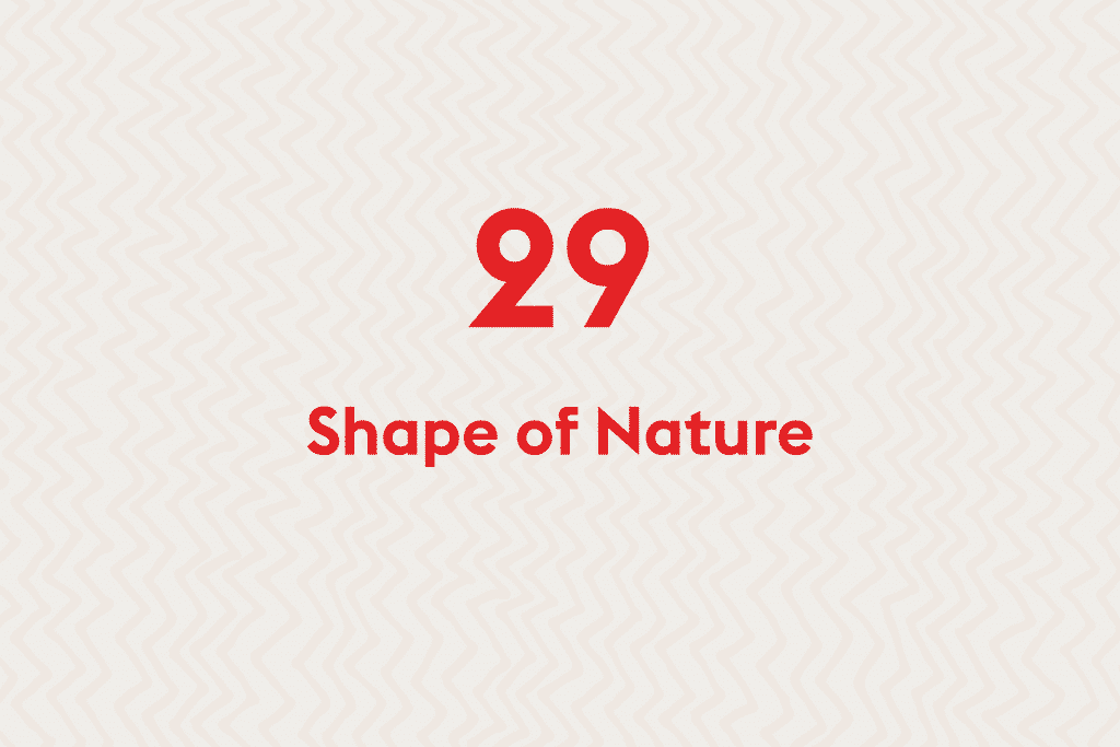 Shape of Nature | Math Courses | Abakcus