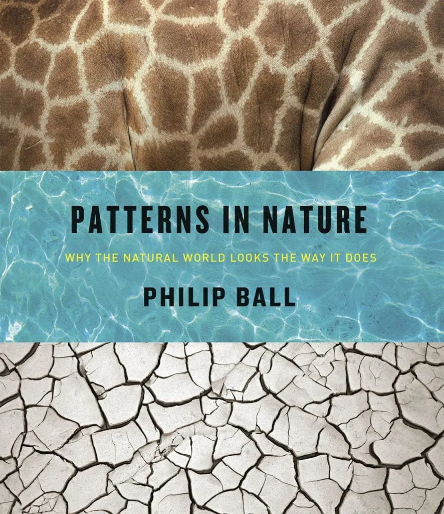 Patterns in Nature: Why the Natural World Looks the Way It Does | Books