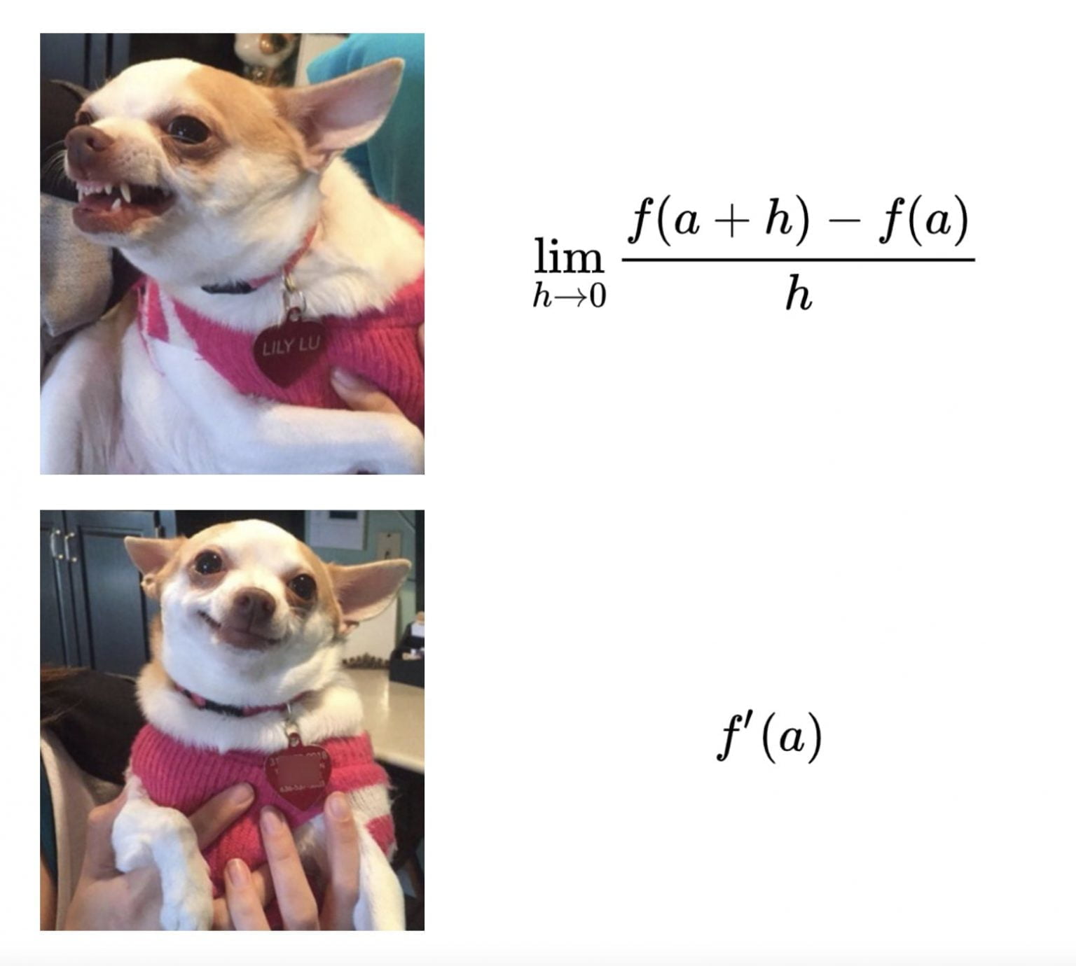 Limit Definition of Derivative | Cool Math Stuff | Abakcus
