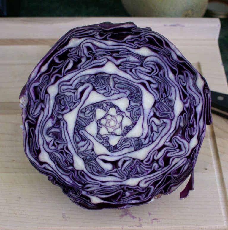 The Geometric Patterns Inside a Cabbage | Cool Math Stuff