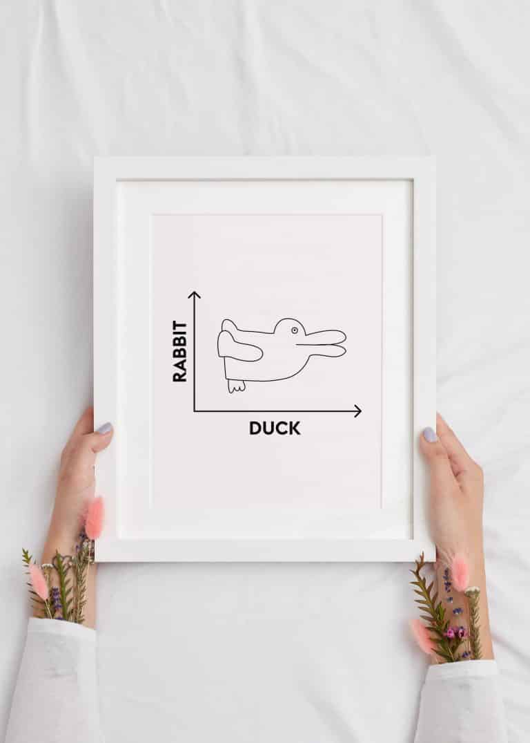 Duck or Rabbit Printable Fun Math Poster