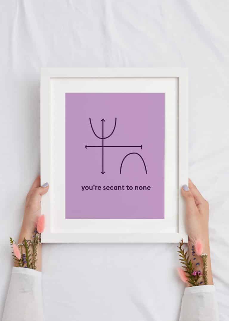 You Are Secant to None Math Wall Art Poster