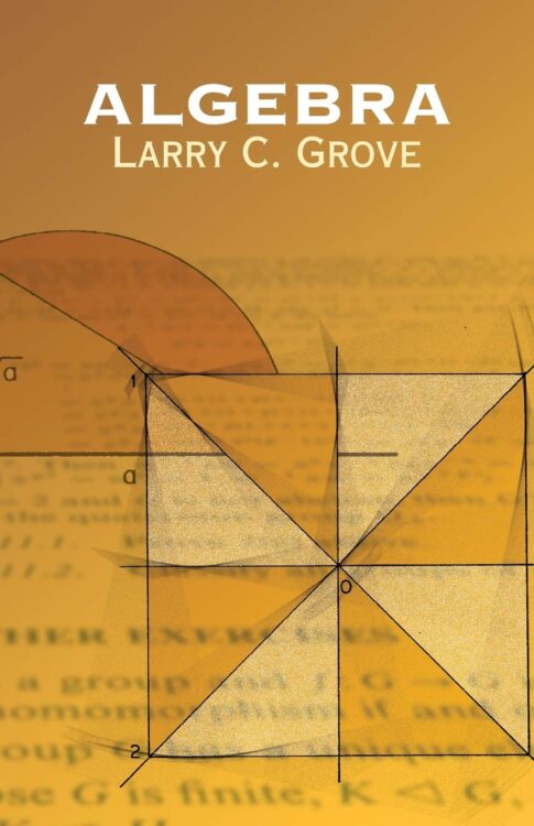 Algebra By Larry C. Grove