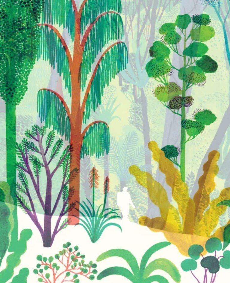 The Forest | Best Kid's Books | Abakcus