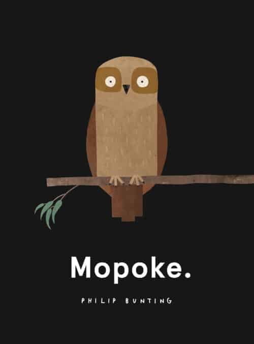 Mopoke by Philip Buntig | Best Kids' Books | Abakcus