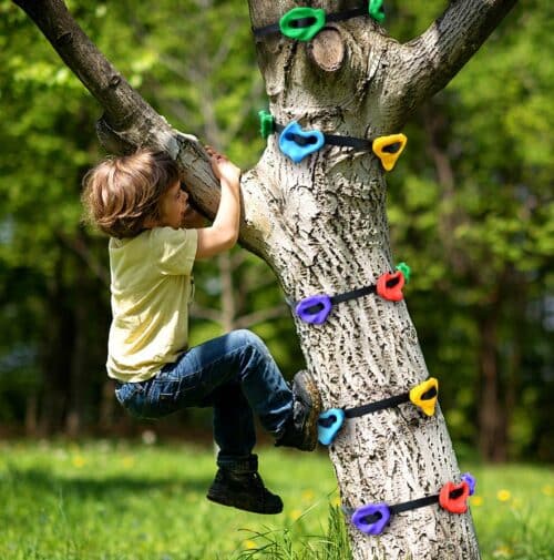 Ninja Tree Climbing Holds for Kids Climber | Abakcus
