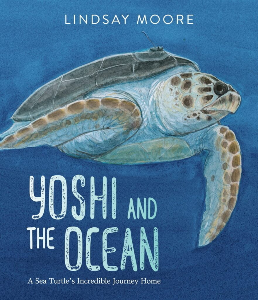 Yoshi and the Ocean | Best Kids' Books | Abakcus