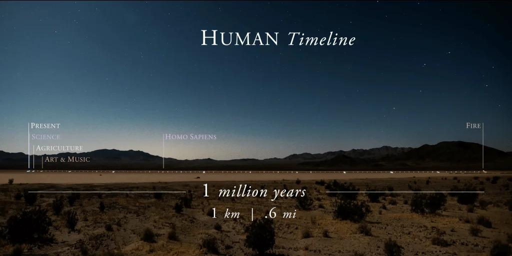 Human Timaline Scale