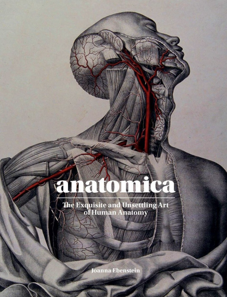 Anatomica The Exquisite and Unsettling Art of Human Anatomy by Joanna Ebenstein