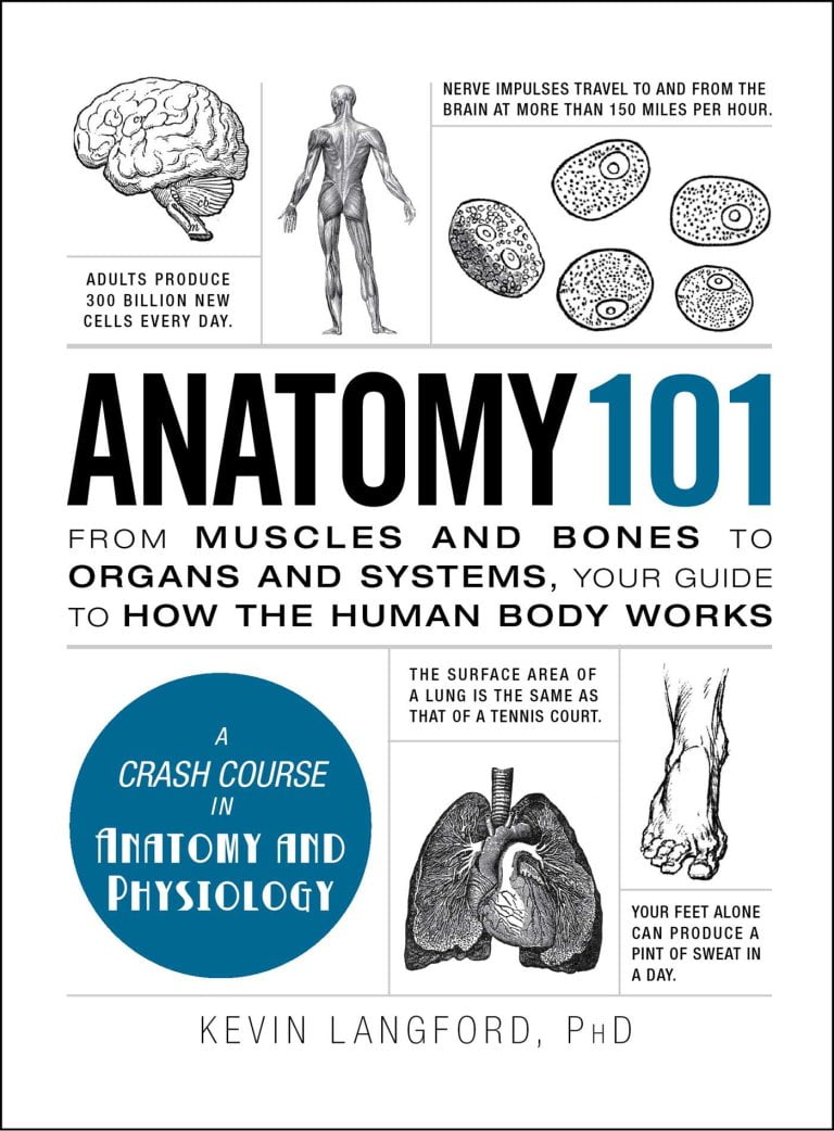 Anatomy 101 by Kevin Langford
