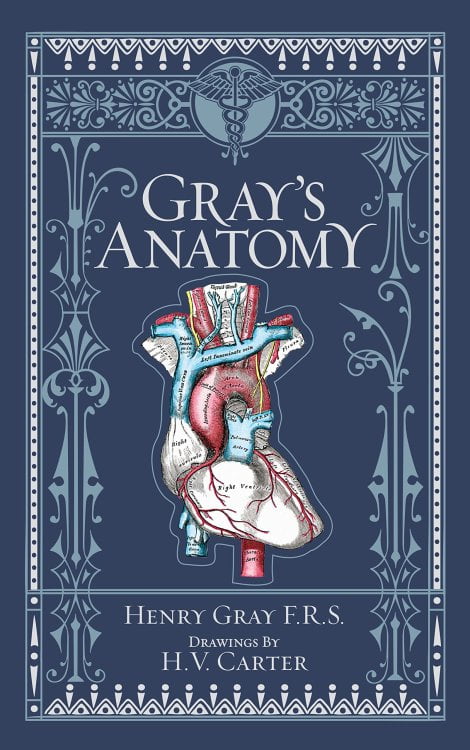 Gray's Anatomy by F.R.S. Henry Gray
