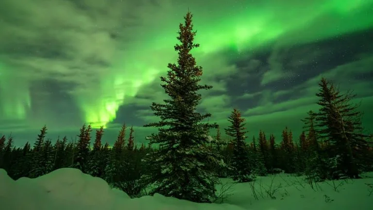 4K Aurora Timelapse Compilation from Fort Yukon, Alaska