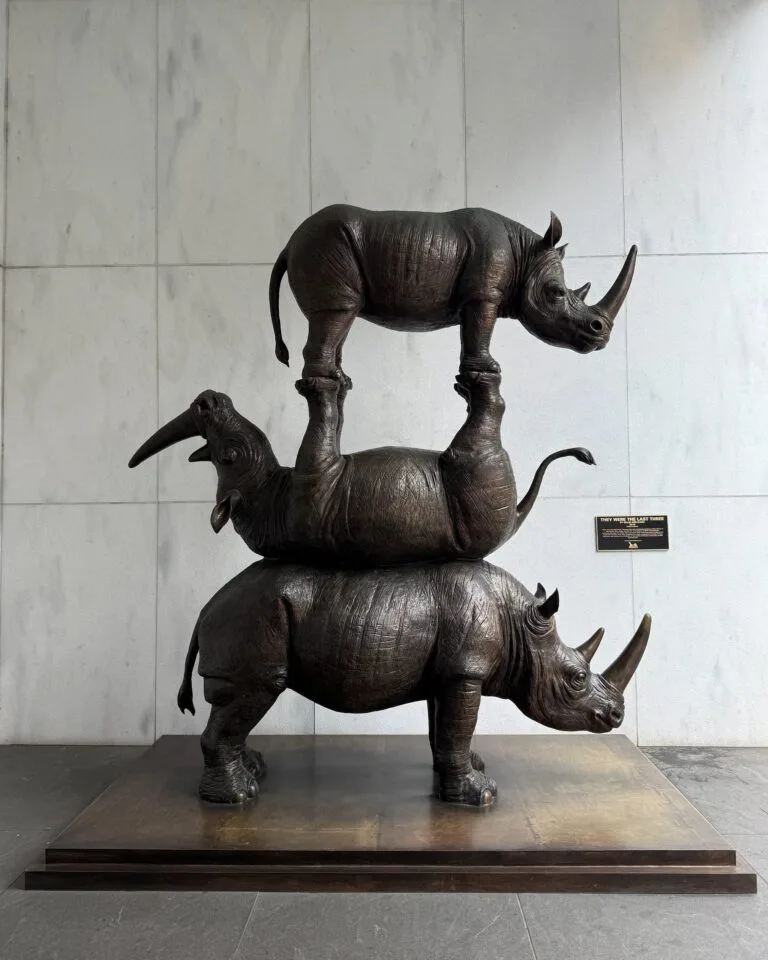 The Last Three Rhinos