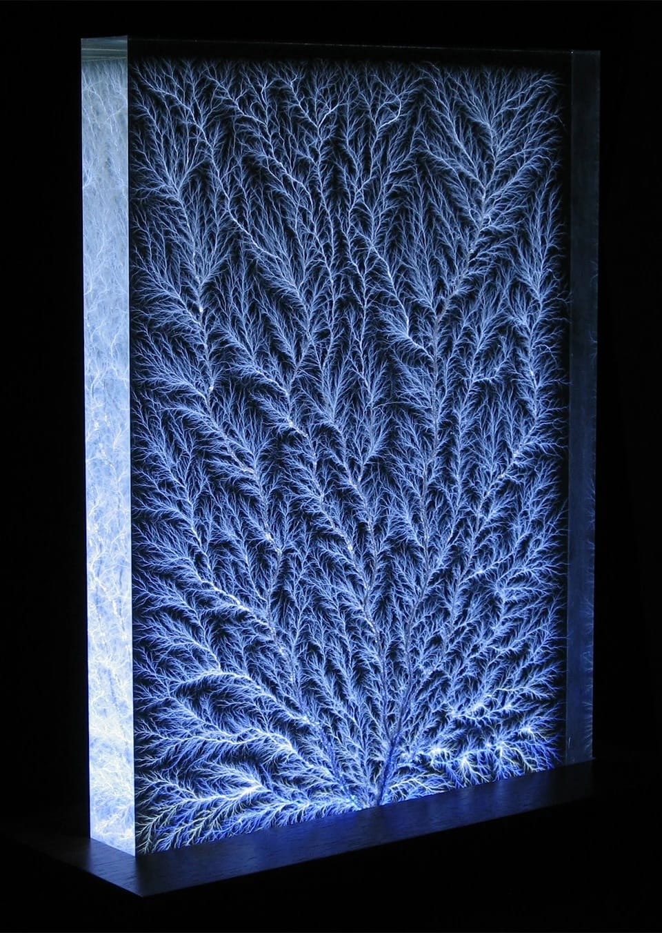 Lichtenberg Figures: The Moments When Electricity Freezes 1 Bert Hickman Lichtenberg Figures