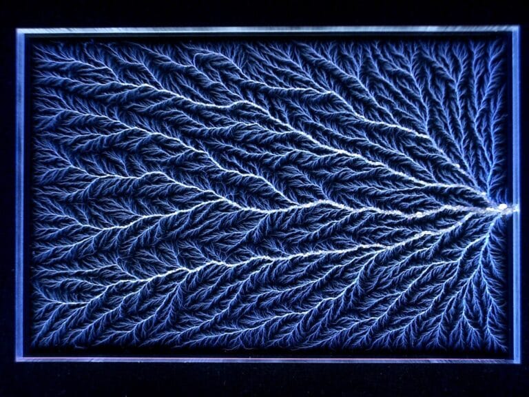 Lichtenberg figures